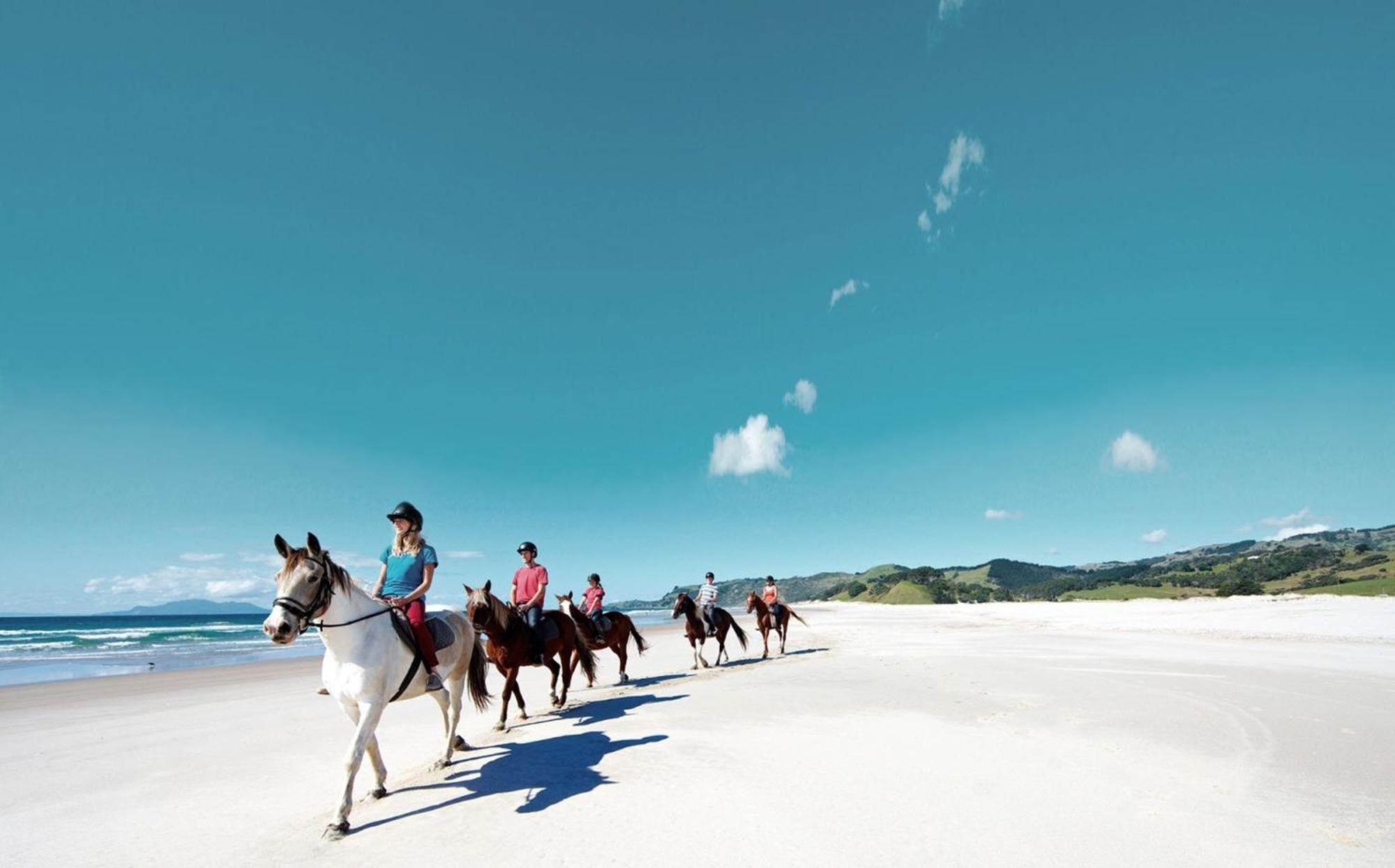 Moko Hiwi Escape Ruakaka - Tui Suite Extérieur photo